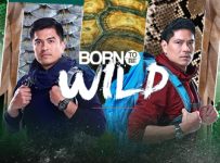 Born To Be Wild October 13 2024 Replay Full Episode